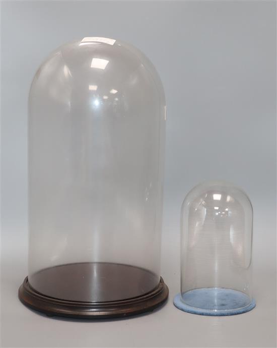 Two glass domes tallest 43cm